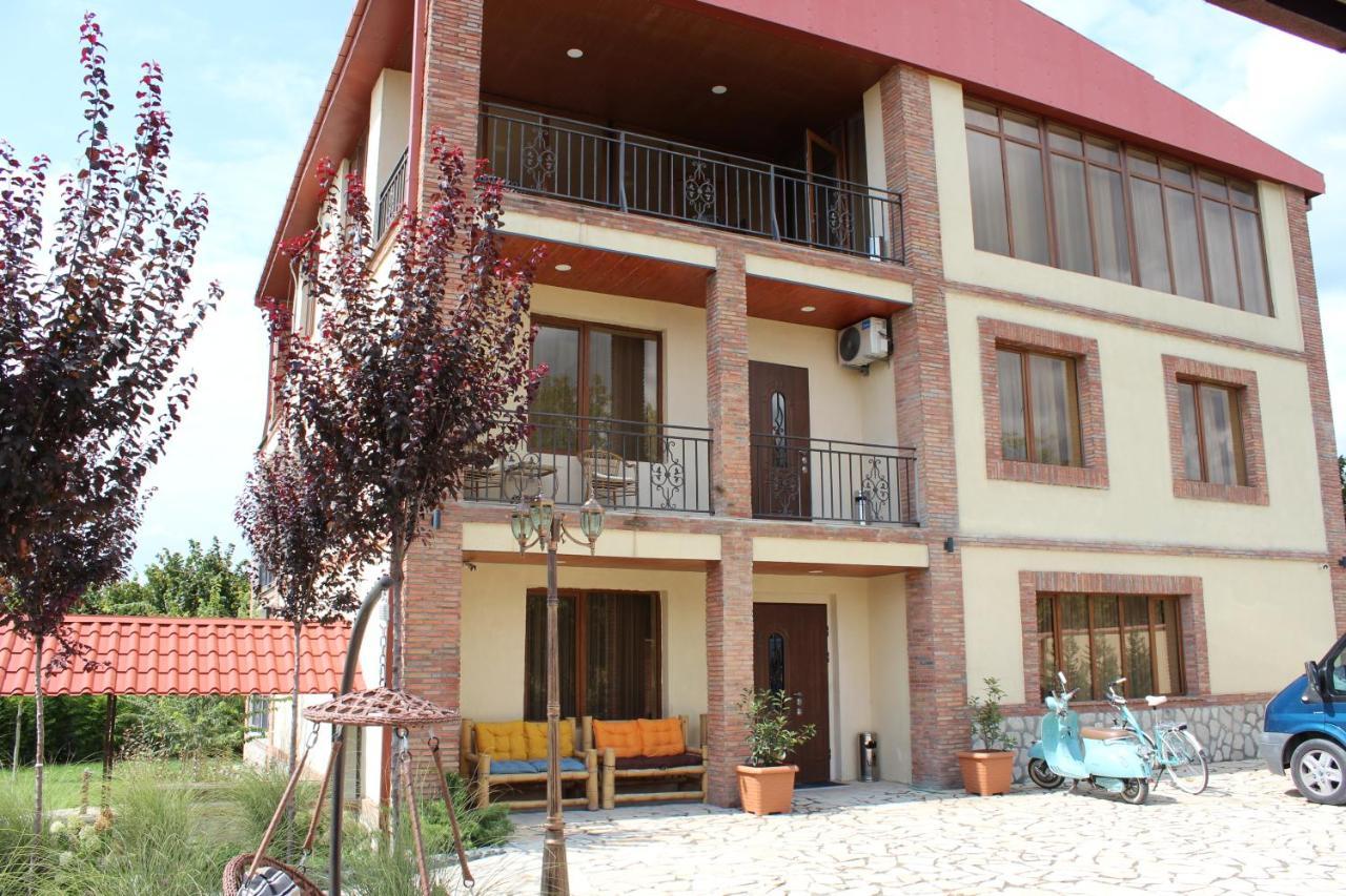 Villa Vitis Kvareli Exterior photo